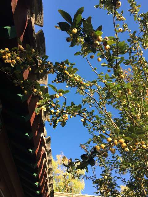 古北水镇段家大院点评