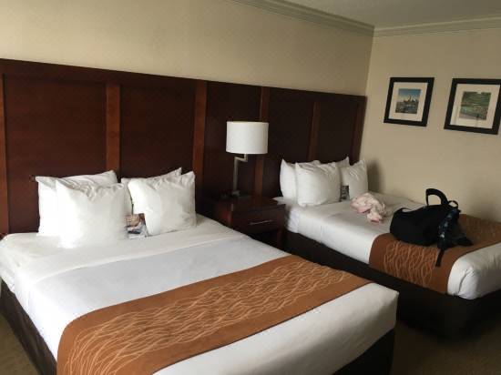 Comfort Inn By The Bay Hotel San Francisco Hotel Reviews And Room