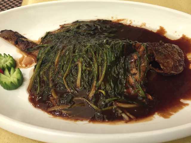 上海中兴和泰酒店点评