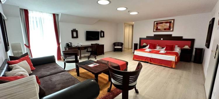 里格特健康和会议酒店(Liget Wellness és Konferencia Hotel)图片