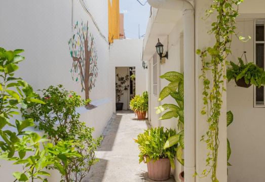 Hotel Las Palmas Cancún Centro Hotel Overview