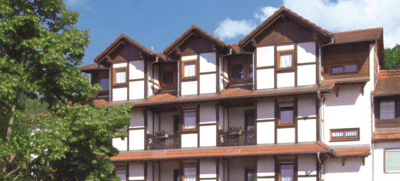 麦蒙特布里克酒店(Blick Zum Maimont)图片