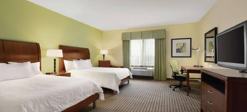 休斯顿克莱尔雷克NASA希尔顿花园酒店(Hilton Garden Inn Houston/Clear Lake NASA)图片