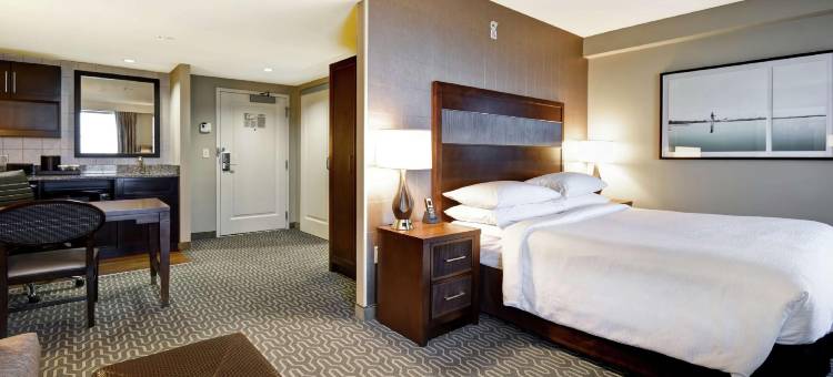 弗吉尼亚州斯普林菲尔德希尔顿安泊酒店(Embassy Suites by Hilton Springfield)图片