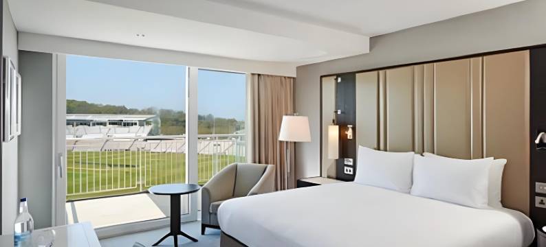 希尔顿南安普敦-Utilita Bowl(Hilton Southampton-Utilita Bowl)图片