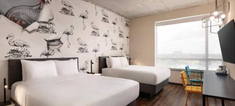 迈阿密康波斯酒店(Kompose Boutique Hotel Miami Airport)图片