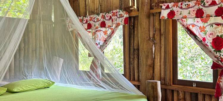 回到自然生态旅馆(Back to Nature Ecotourism)图片