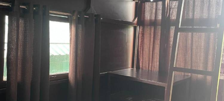 库格树屋酒店(Capital O Coorg Treehouse)图片