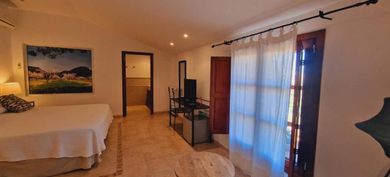 阿尔盖达小酒店(Petit Hotel Algaida)图片