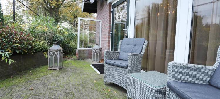 屯特罗斯(Het Ros Van Twente)图片