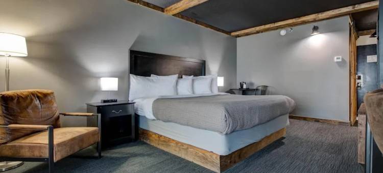 Hotel Lex, Trademark Collection by Wyndham图片