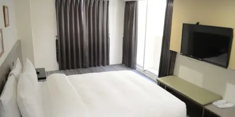 嘉義德爾芙快捷酒店