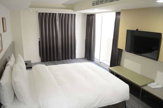 嘉义德尔芙快捷酒店