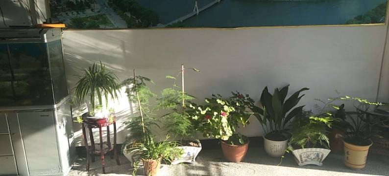 新县润鑫宾馆图片