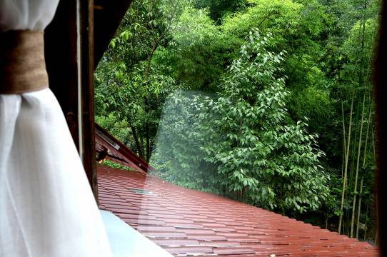 峨眉山荷叶湾民宿