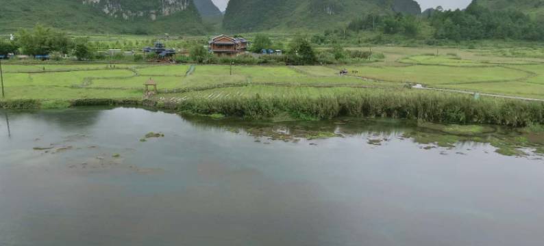 靖西原生态住宿图片