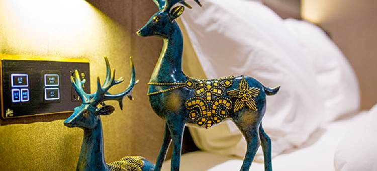 尚客优精选酒店(西宁万达店)图片