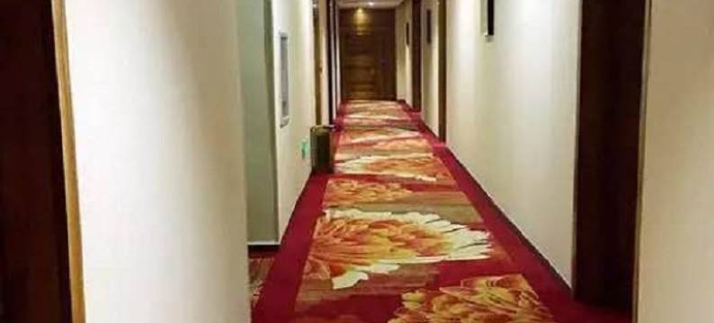 樟树金怡精品酒店(四特大道分店)图片