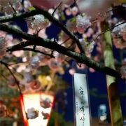 快乐小狗不怕难