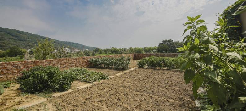 苏州泉沐皓居别墅图片