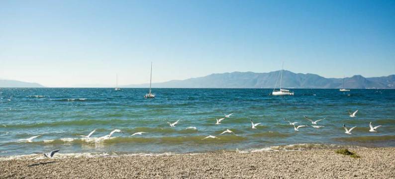 澄江明鑫宾馆图片