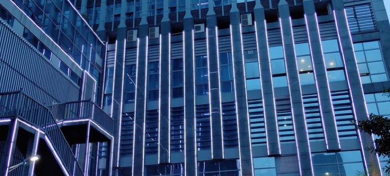 景德镇樱花民宿图片