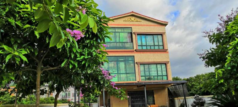 广州大树zsx度假别墅图片