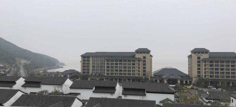 舟山老猫公寓图片