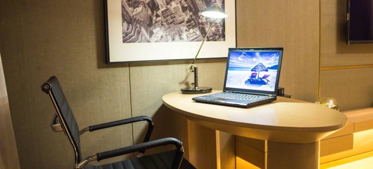 广州隔壁的猫小姐公寓图片