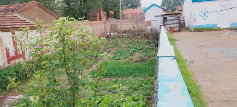 张家口翠香农家院(5号店)图片