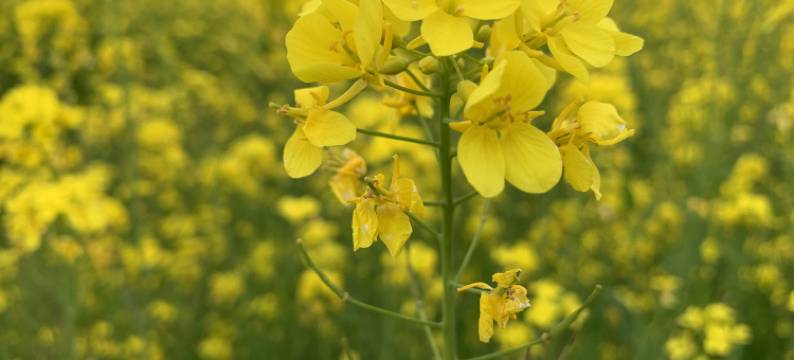 都市驿家(茶卡店)图片