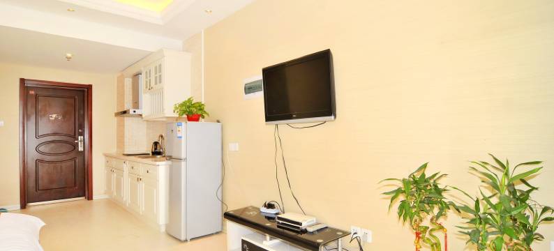 沈阳王姐家公寓图片