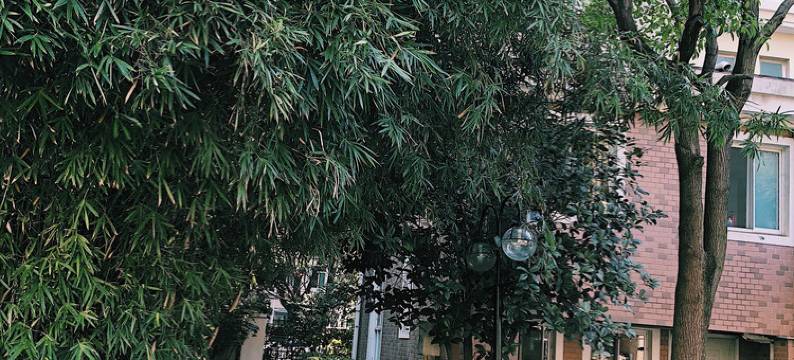 上海静舍民宿图片