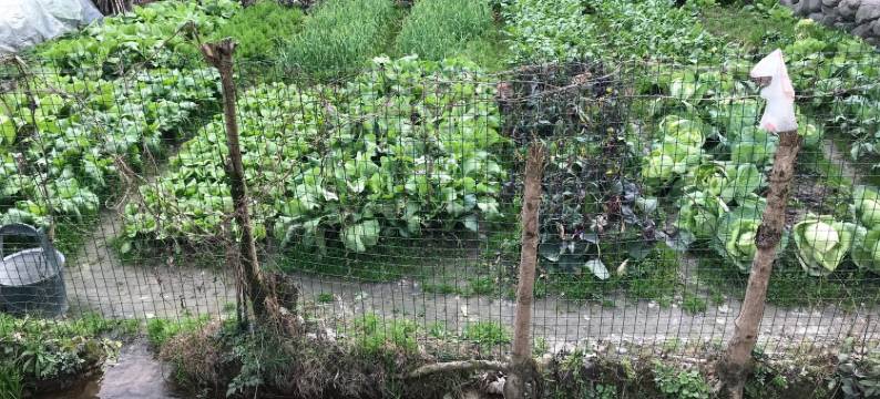 明月山山水苑农家乐图片