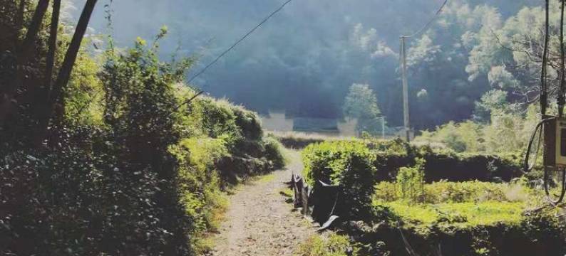 松阳岙呢院子客栈图片