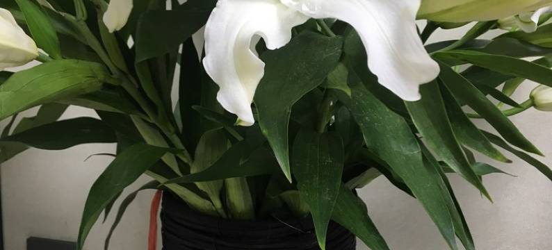 唐山徐女士公寓(4号店)图片