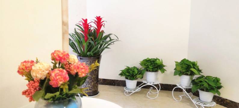 成都施大妈民宿图片