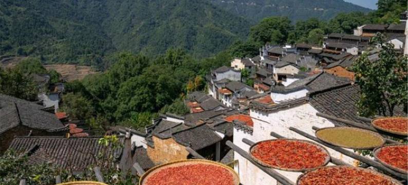 婺源竹林居(李坑景区店)图片