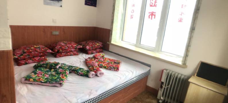 雪乡二浪河维子家民宿(大林公路分店)图片