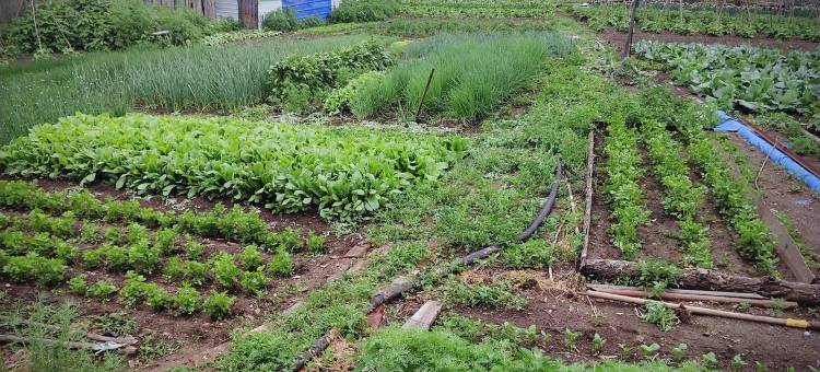 额尔古纳于晓艳旅游之家民宿图片