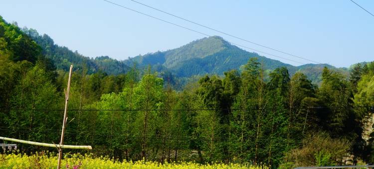 旌德撩车9号山居艺墅图片