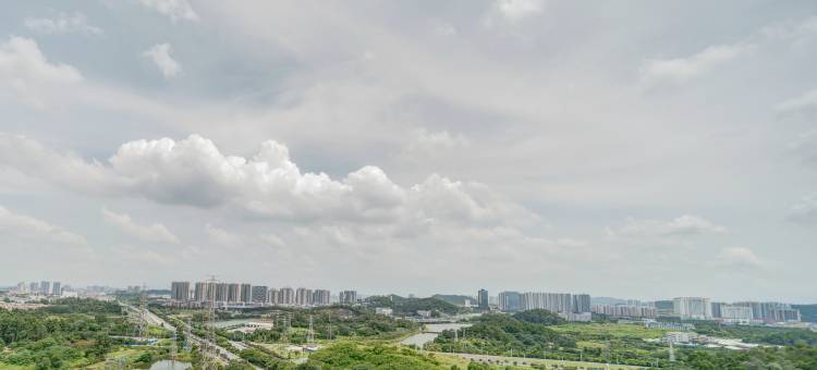 广州近长隆/南站/飞机场复式双床房公寓(4号店)图片