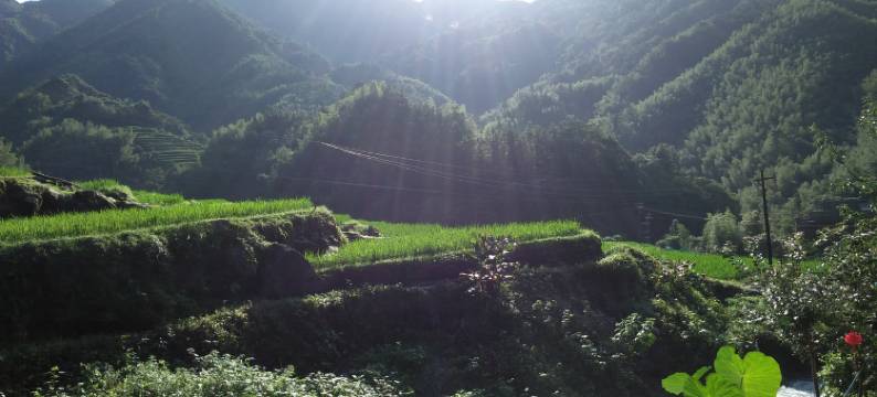 桂林望竹楼主特色民宿图片