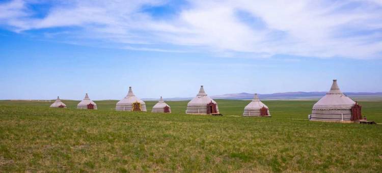 张北欢乐惠蒙元民宿图片