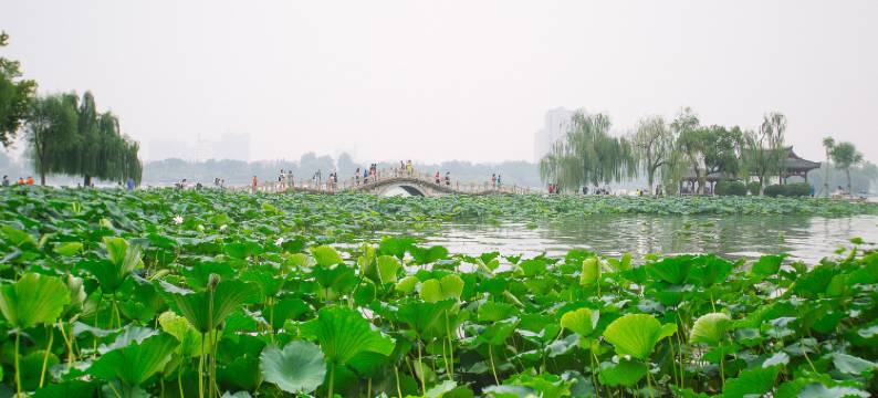暮晓民宿(济南万达店)图片