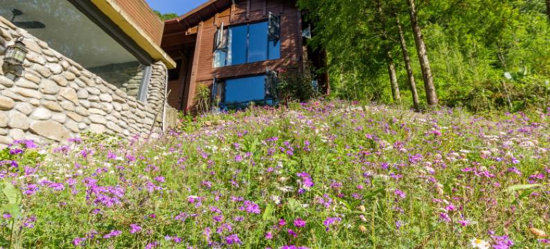 青城山卡冰花园民宿图片