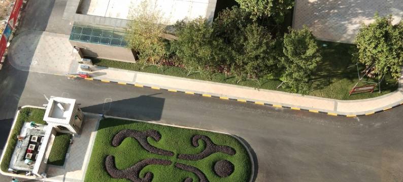 北海六月荷花公寓图片