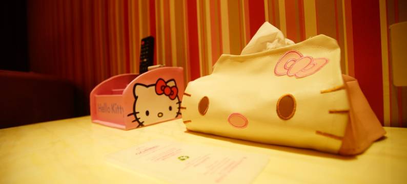 成都朝花夕宿小夕公寓(中环路武阳大道段分店)图片