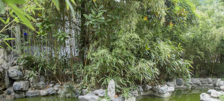 西安恬静小屋图片