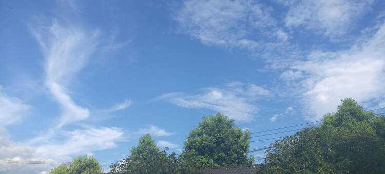 杭州山坳里蓝莓生态园农家乐图片